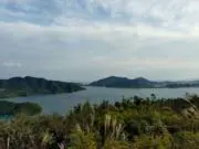 ゆうの画像