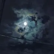 ユピの画像