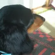 Mika　断捨離中