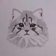 サバ白の画像