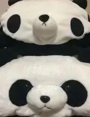 ＪＮの画像