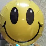 ヨッシー