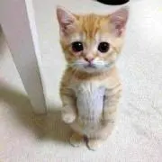 らいちゃん