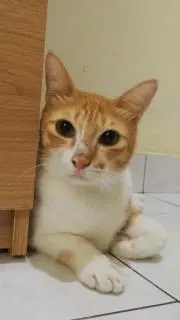 MoTiKi❃