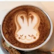 bunnyの画像