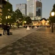 トロの画像