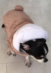 るるのんはにー