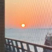 ちいの画像
