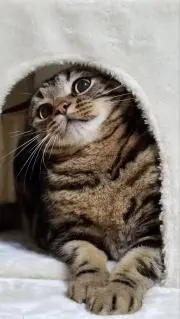 むー