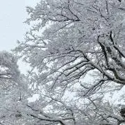 みさこの画像