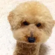 えみの画像