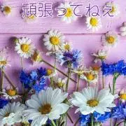 ハレルヤ