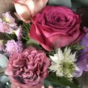Roseフェリーチェの画像