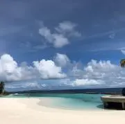 マリママの画像