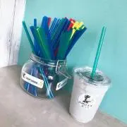 タビゾウの画像