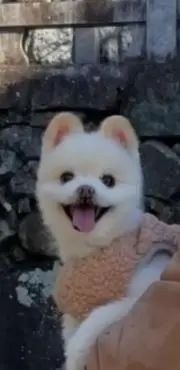 たっきーの画像