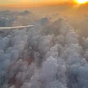 Moの画像