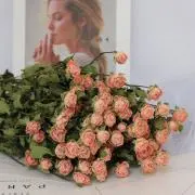 ⭐️タペストリ一3枚5500円セール中！の画像