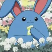 とすの画像