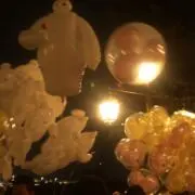 はるはるの画像