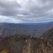 よろしくお願いします。