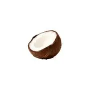 coconutの画像