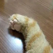 わるつRBNの画像