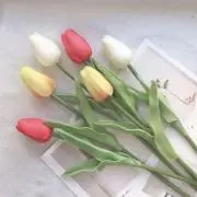 moko★の画像