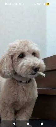 あきら