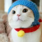アズーの画像