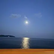 のんの画像