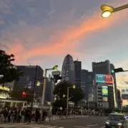 オーロラの画像