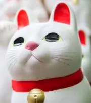 招きネコの画像