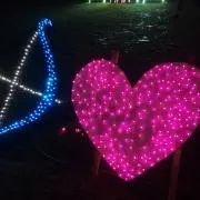 ポコ
