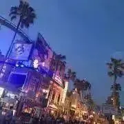 m☆プロフ必読