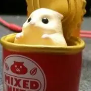 とるてぃーやの画像