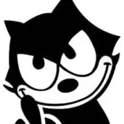 Sugiの画像