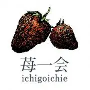 苺一会☺️フォロー割同梱割やってます☺️の画像
