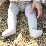 コツ丸の画像
