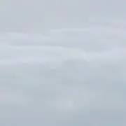 スイの画像