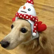 ゆりか