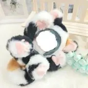 三毛だらけの画像