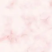 ぴくるすの画像
