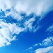 コニーの画像
