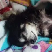 くうにゃん