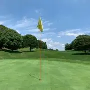 いちごの画像