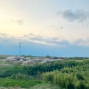 シャープ