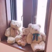 MUU