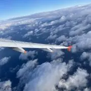 TKRの画像