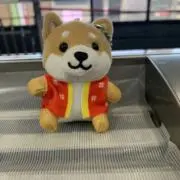 ozawakkmkの画像